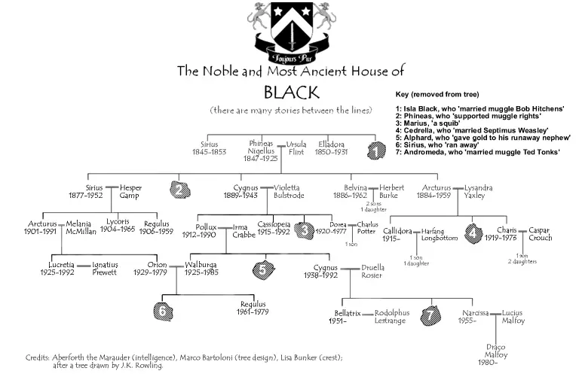 Black Family Tree by The Lexicon